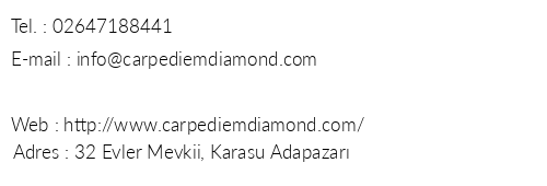 Carpediem Diamond Hotel telefon numaralar, faks, e-mail, posta adresi ve iletiim bilgileri